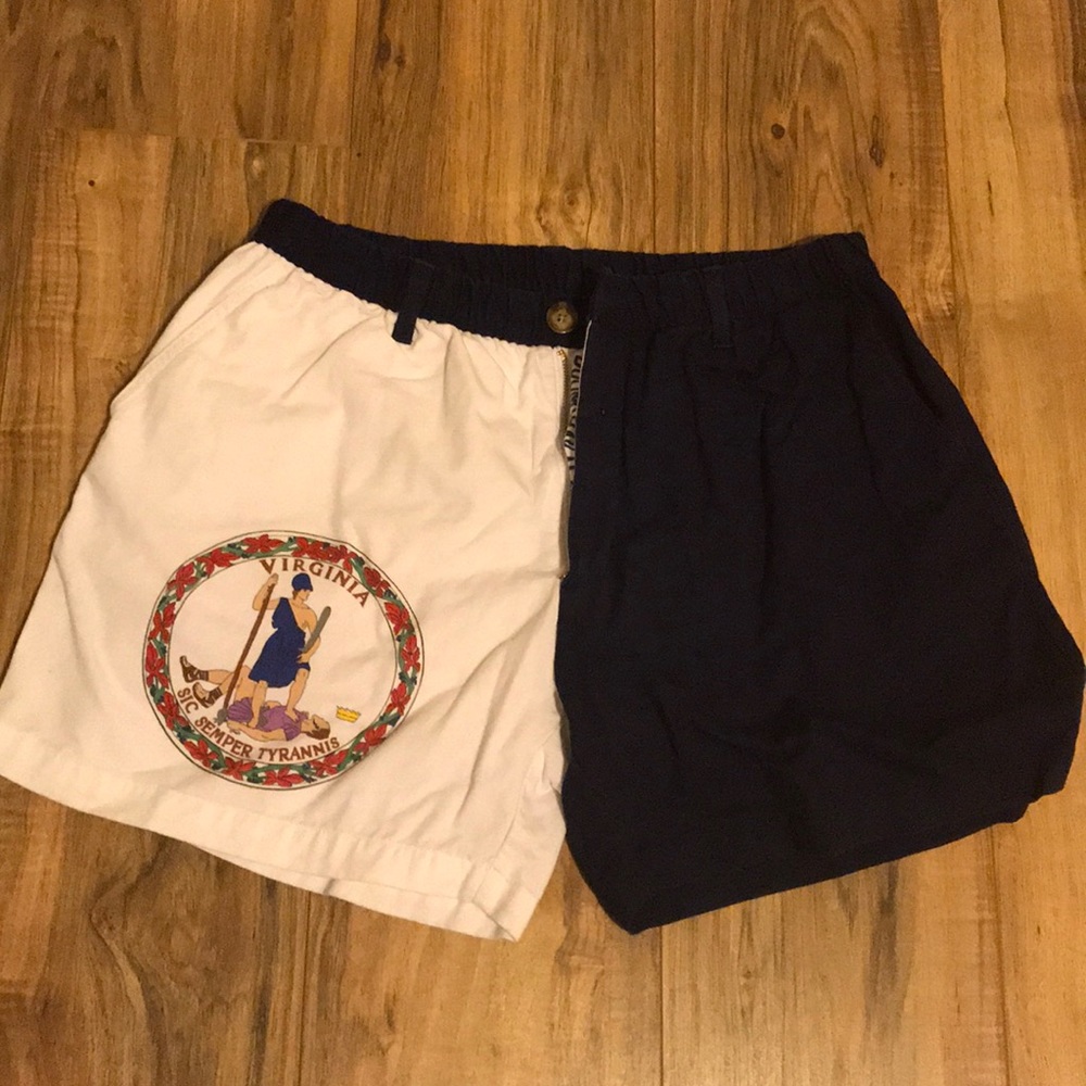 VA state flag chubbies
